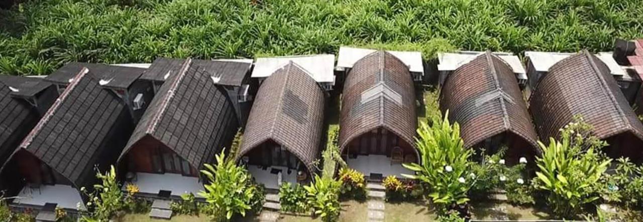 Morning Bali Bungalow Canggu  Exterior photo